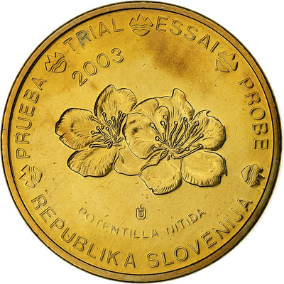 Slovénie, 
            
               20 Euro Cent, 
            
               unofficial private coin