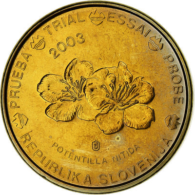 Slovénie, 
            
               10 Euro Cent, 
            
               unofficial private coin