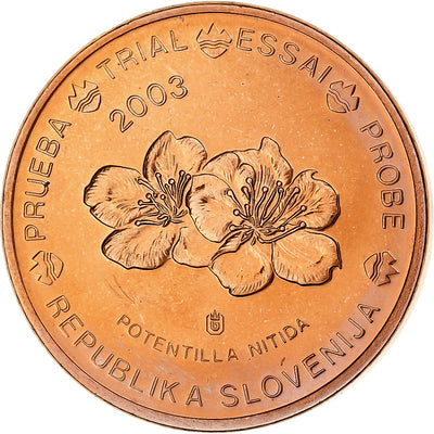 Slovénie, 
            
               2 Euro Cent, 
            
               unofficial private coin