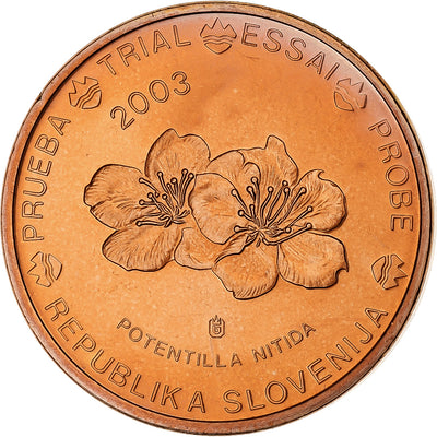 Slovénie, 
            
               5 Euro Cent, 
            
               unofficial private coin